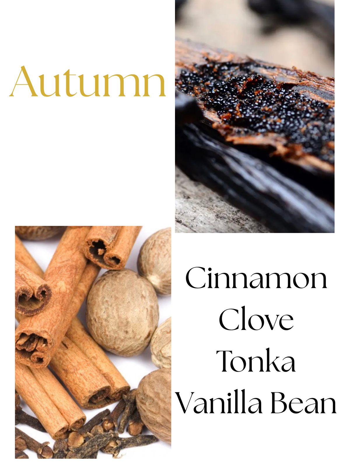 Autumn 10oz Scented Candle- Cinnamon, Clove, Tonka, Vanilla Bean