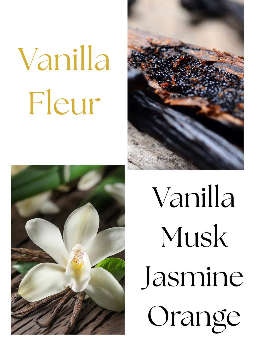 Vanilla Fleur 8.5oz Scented Candle- Vanilla, Citrus, Jasmine, Musk