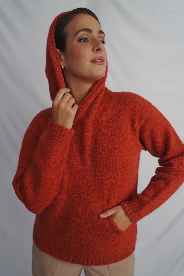 Briana Alpaca Hoodie Pullover