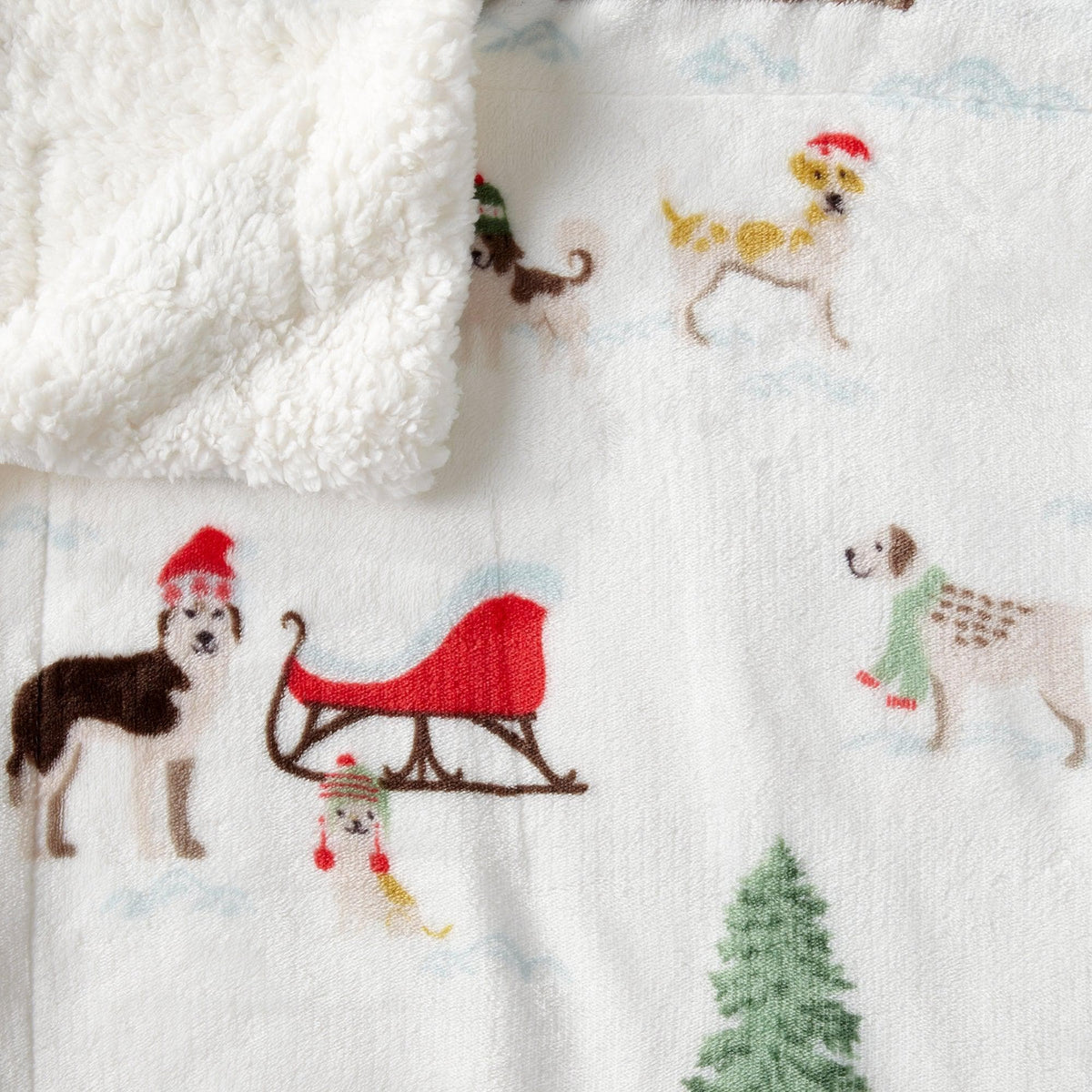 Sherpa Throw Blanket - Eve Collection